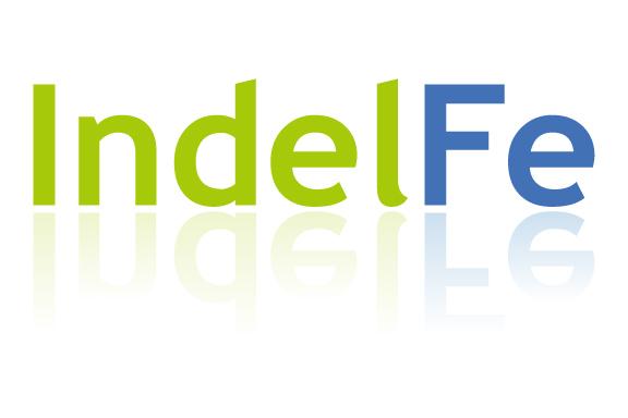IndelFe Sdn Bhd