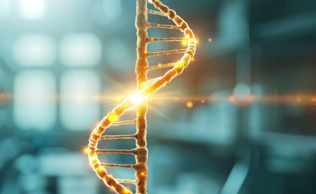 Biologisches Blut- /DNA- Analysesystem